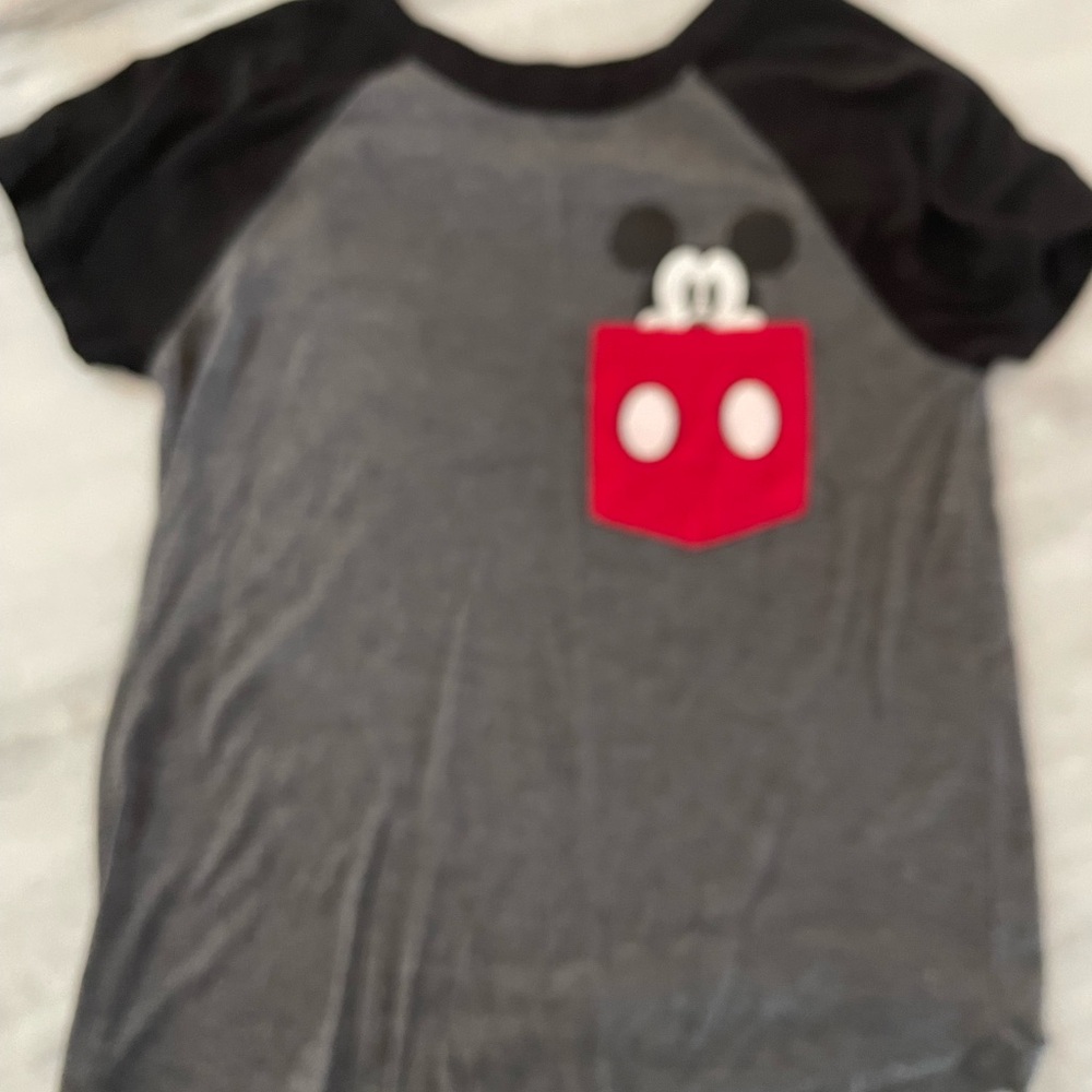 Disney lovers’ Mickey T
